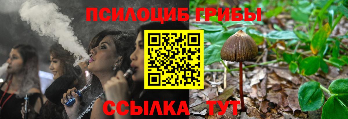 Псилоцибиновые грибы GOLDEN TEACHER Дзержинский
